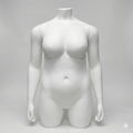 Bust with Arms