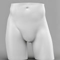 Male Hips Mannequin with Base & Pole - Light Grey (7046)