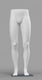 Legs / Lower Body